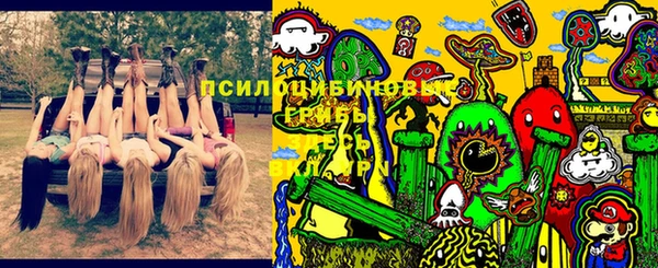 мдпв Лабытнанги