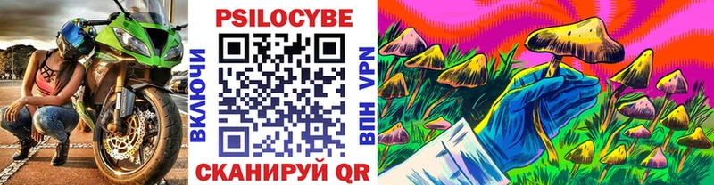 Галлюциногенные грибы Psilocybine cubensis Купить где Кольчугино